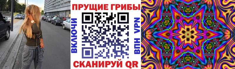 omg ТОР  Новомичуринск  Псилоцибиновые грибы Psilocybe  купить  